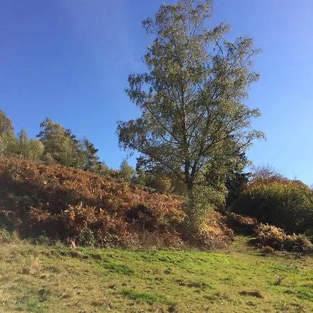 Au Bout De La Petite Route *